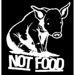 Not food